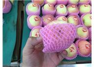 常州發(fā)泡棉價(jià)格